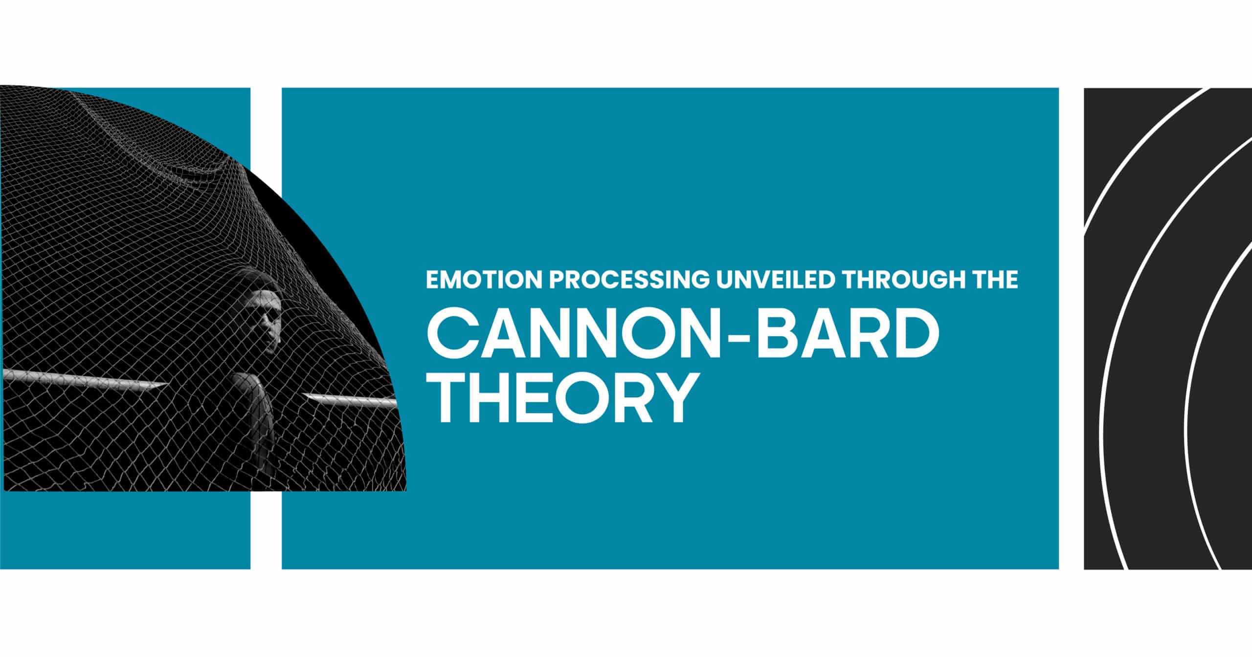 Cannon-Bard Theory: How we process emotions. Image shows text on emotion processing and a person partially hidden by a net.