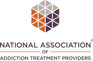 Logo: geometric cube made of triangles above the text 'National Association of Addiction Treatment Providers'.