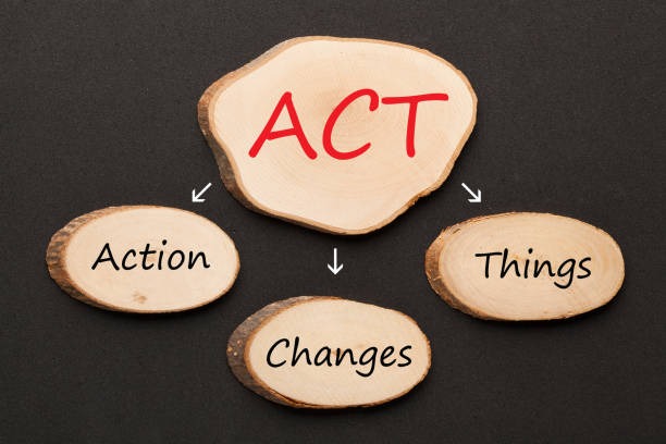 Pebble diagram:'ACT' at the top with arrows pointing to 'Action', 'Changes', and 'Things' on smaller pebbles against a dark background.